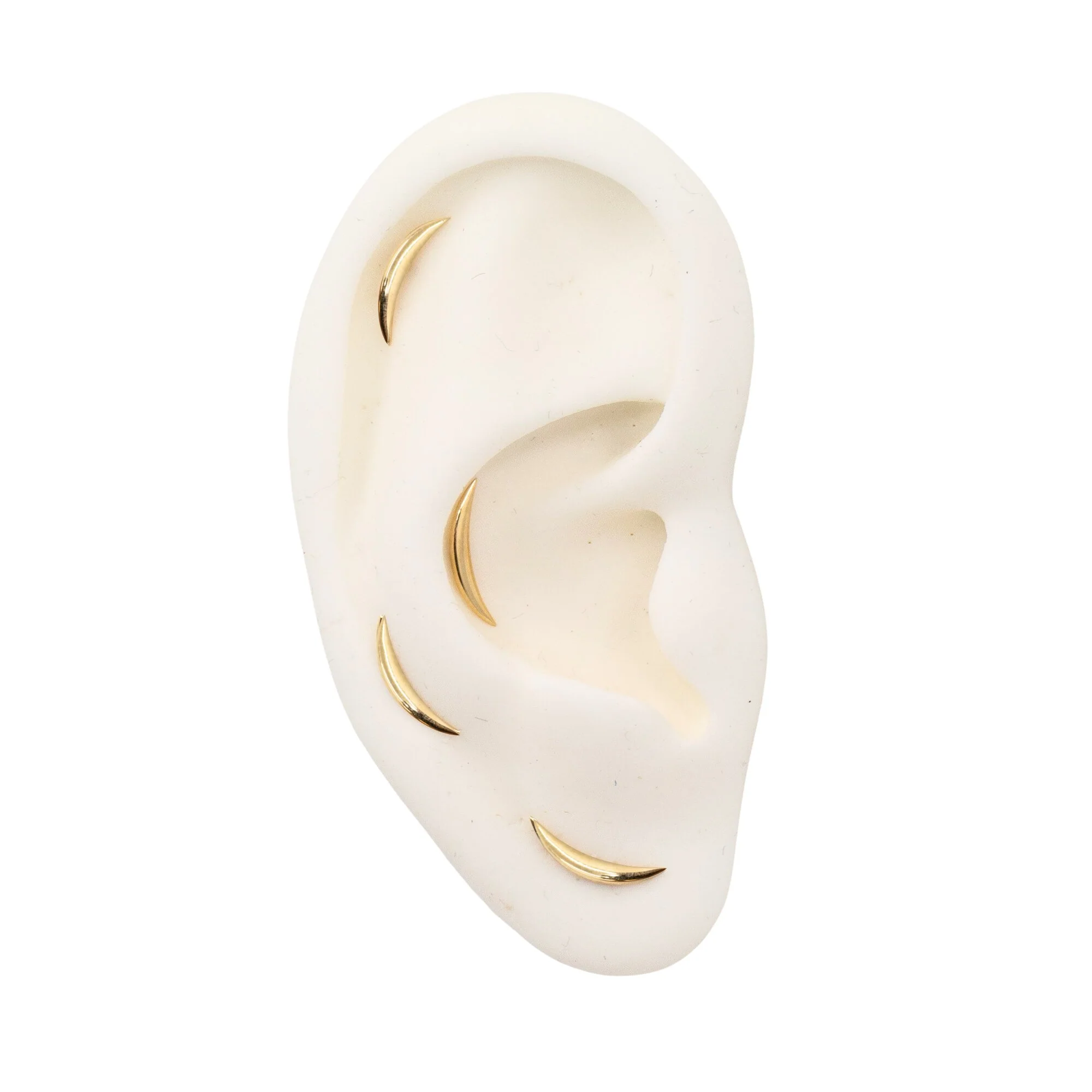High Polish Curved Earring - Image 4