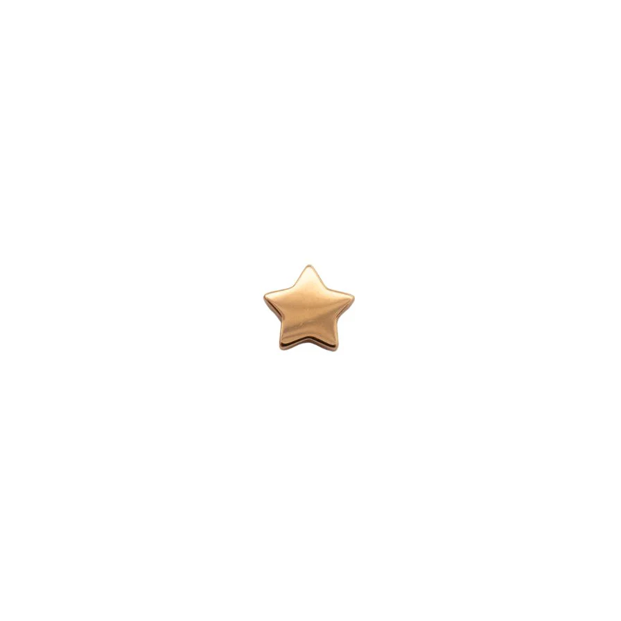 Star Earring Top - Image 7